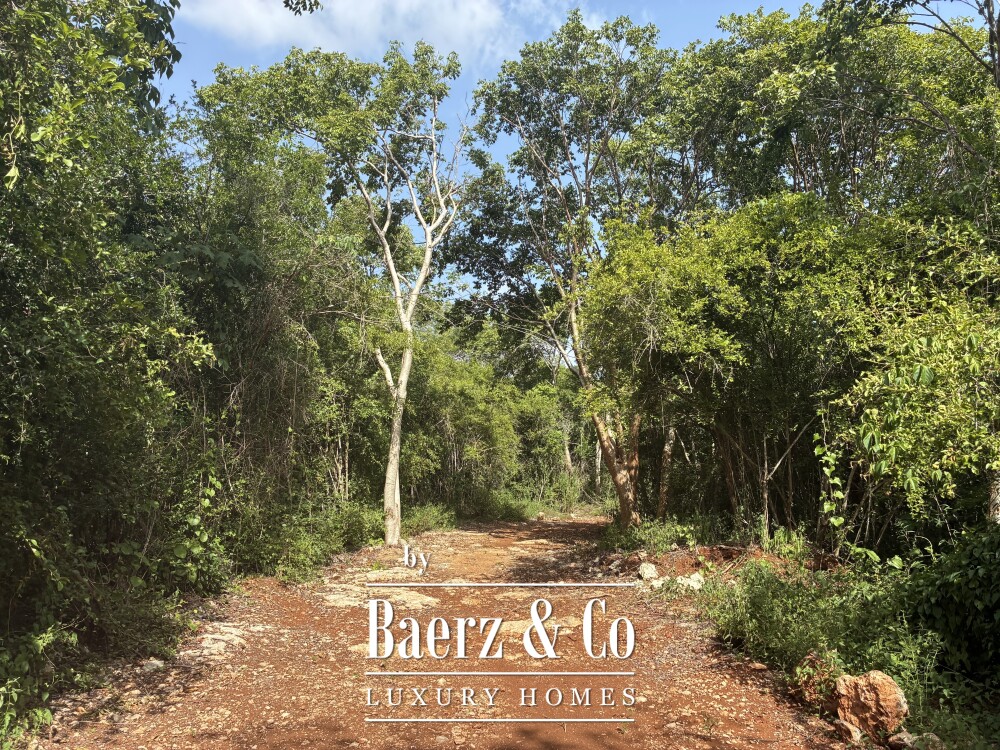 Foto 26 1000w