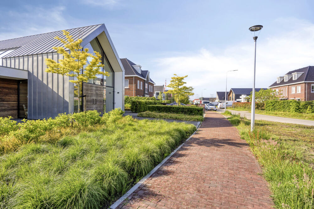 Foto 54 1000w